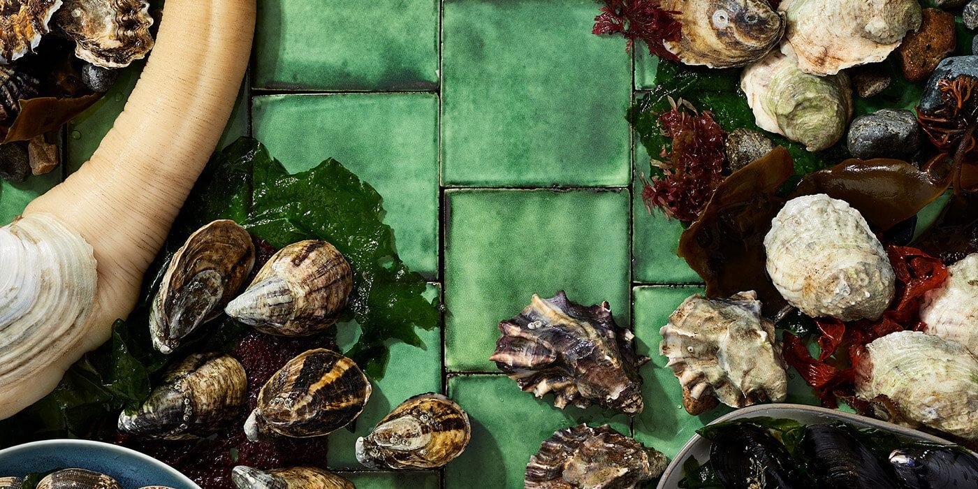 website greenmixshellfish