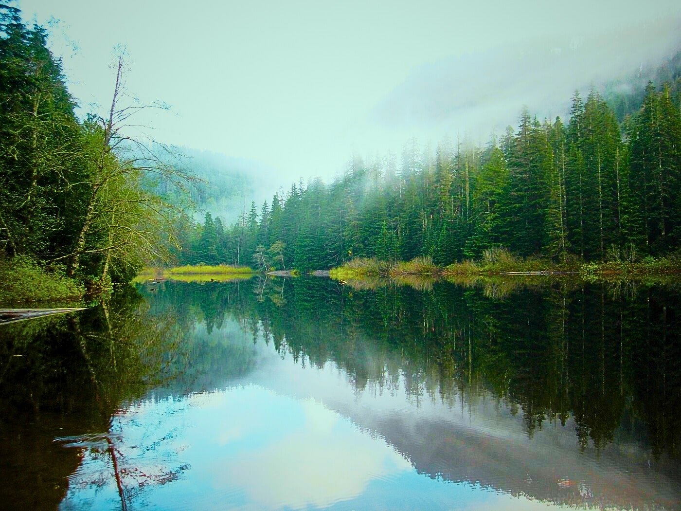 Hiking Barclay Lake Trailhead