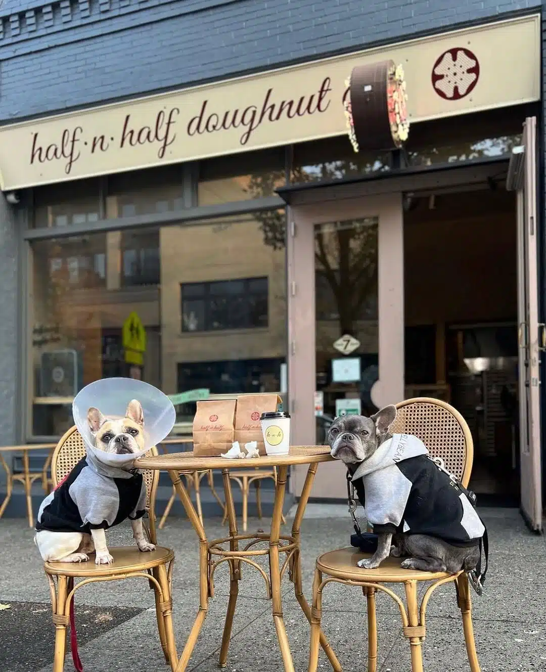 Half and Half Doughnut Co.