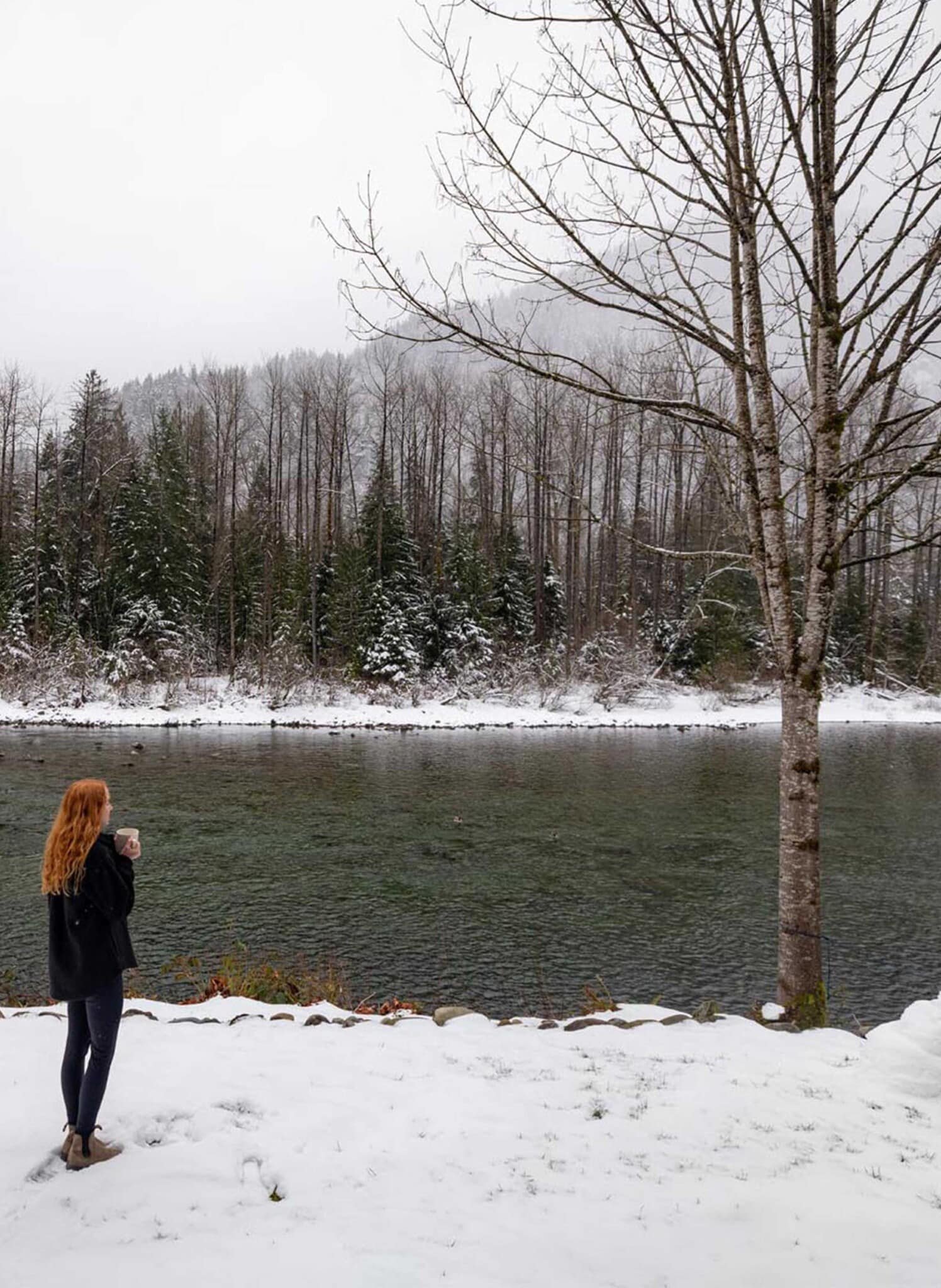 carousel 0011 Copy of 29 Nights Index in the Winter 5'l;l';