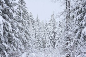 Winter in Kittitas County