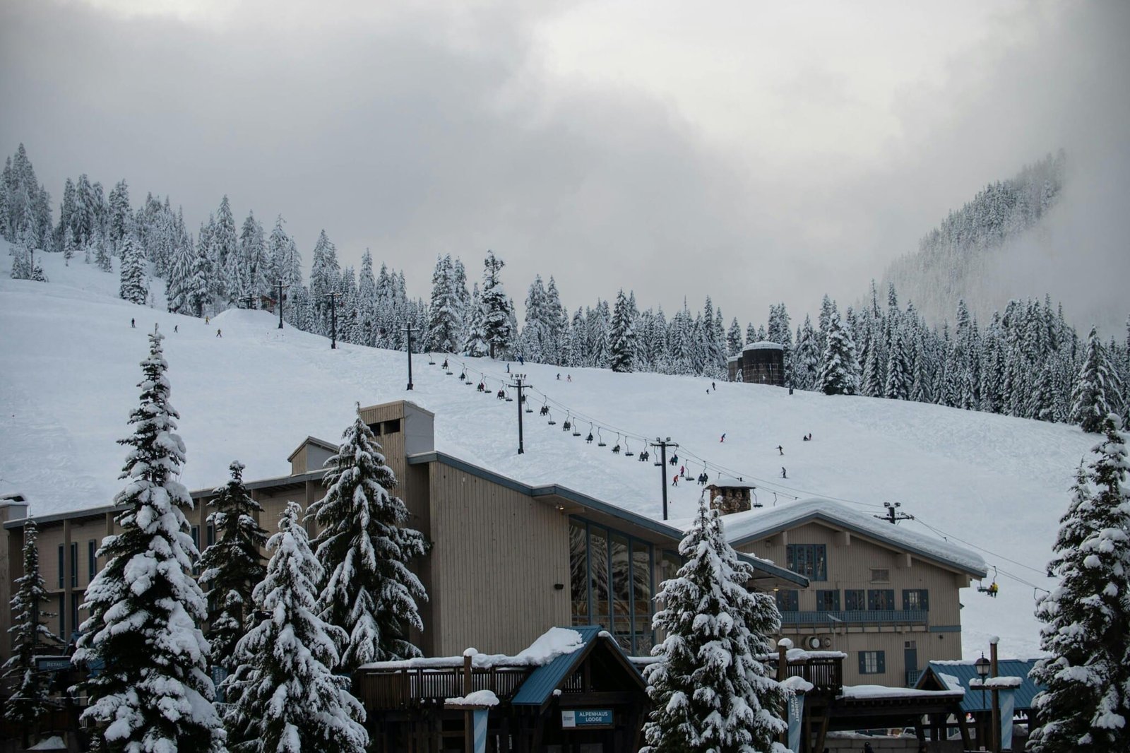 Snowy ski resort with pine trees