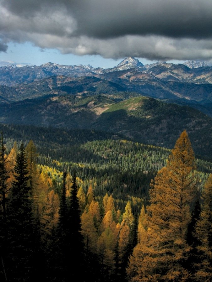Larches and Mt. Stuart Batholith on Horizon