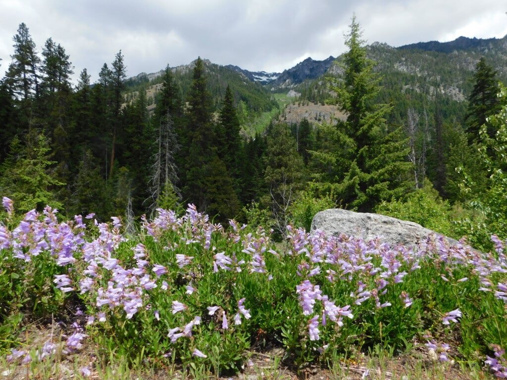 Icicle Gorge Loop Trail