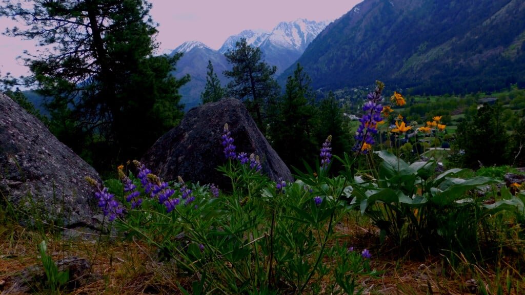 Views From Mountain Home Road