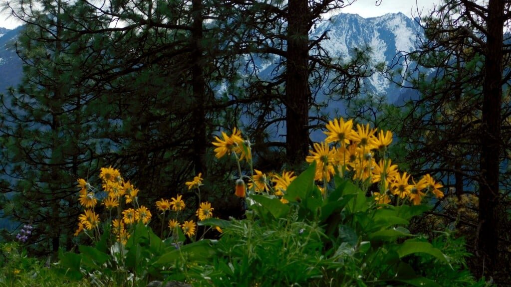 Views From Mountain Home Road 2