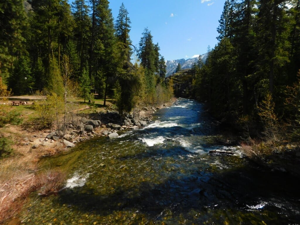 Icicle River/Creek Scenes in April