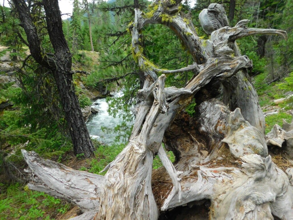Icicle Gorge Trail Section Near Rock Island