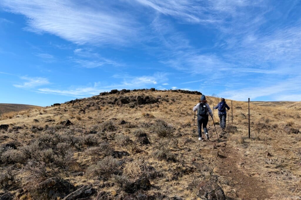 Ginkgo Petrified Forest Trail