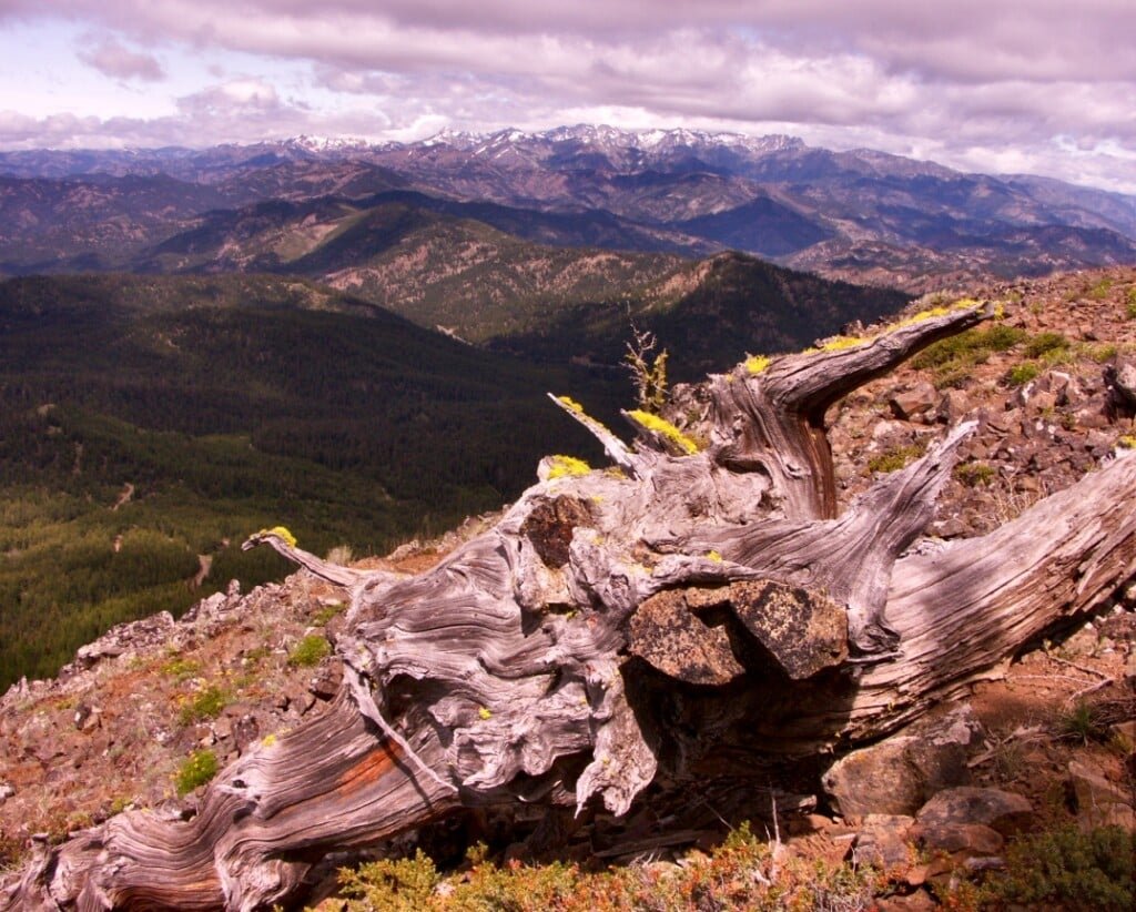 Looking Towards Stuart Range from Table Mountain