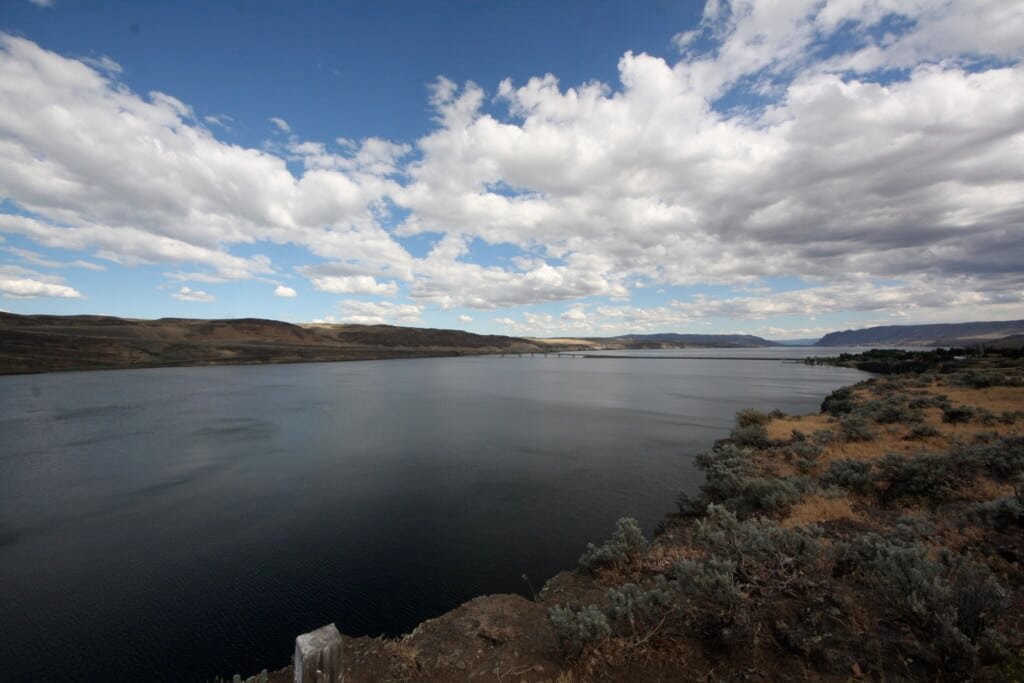 Ginkgo Petrified Forest
